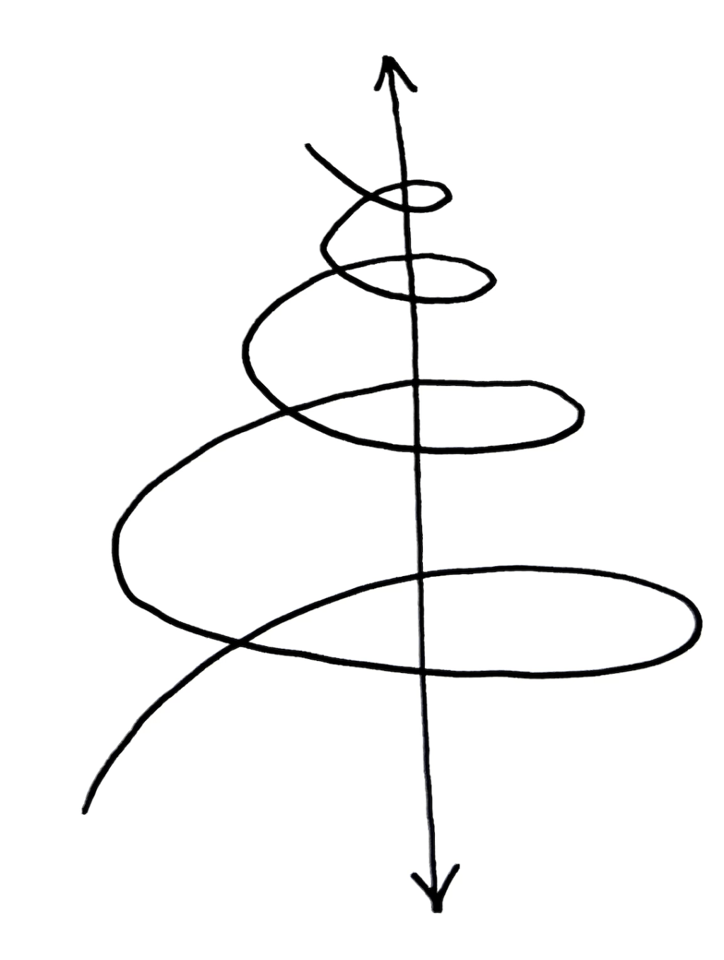 CITE : les 3 conférences&nbsp;2024-2025